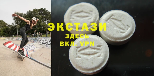 ECSTASY Богданович